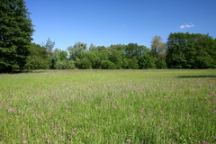 Killikus&reg; Fotographie